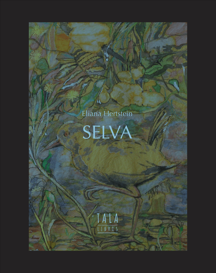 La imagen tiene un atributo ALT vacío; su nombre de archivo es selva-portada-web-1.png